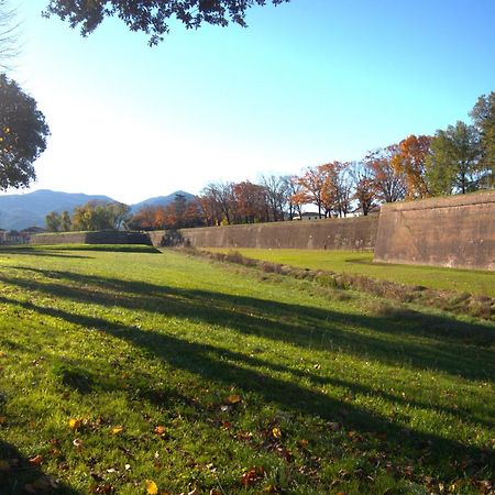 Appartamento Via Grandi - Free Gated Parking - 5 Minutes From Center Lucca Eksteriør billede